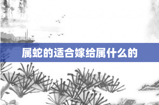 属蛇的适合嫁给属什么的