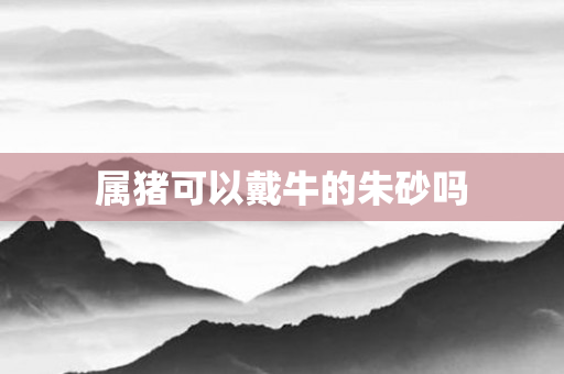 属猪可以戴牛的朱砂吗