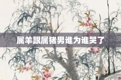 属羊跟属猪男谁为谁哭了