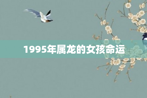 1995年属龙的女孩命运
