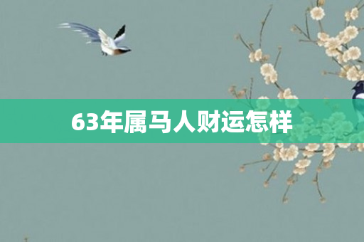 63年属马人财运怎样