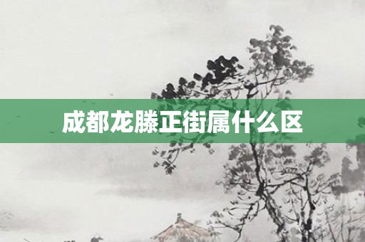 成都龙滕正街属什么区