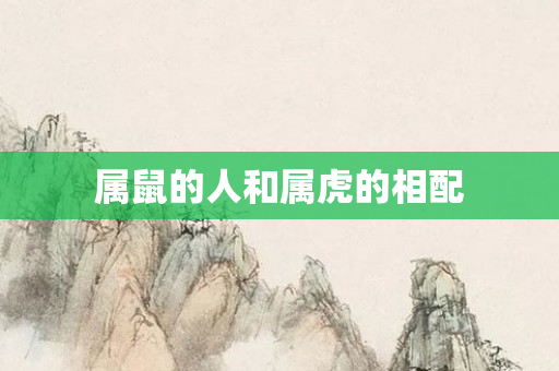 属鼠的人和属虎的相配