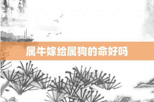 属牛嫁给属狗的命好吗