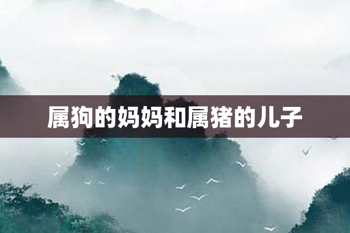 属狗的妈妈和属猪的儿子