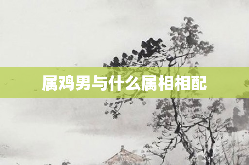 属鸡男与什么属相相配