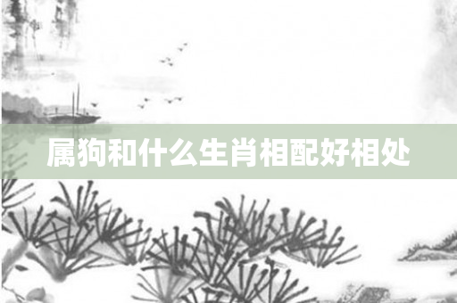 属狗和什么生肖相配好相处
