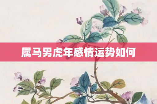 属马男虎年感情运势如何