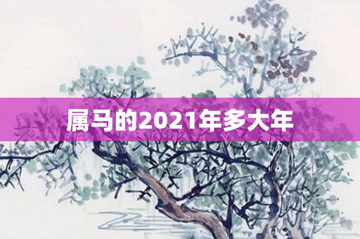 属马的2021年多大年