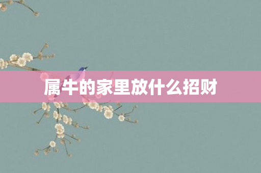 属牛的家里放什么招财