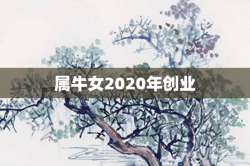 属牛女2020年创业