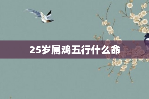 25岁属鸡五行什么命