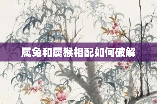 属兔和属猴相配如何破解