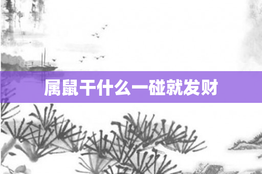 属鼠干什么一碰就发财