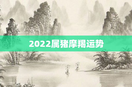 2022属猪摩羯运势