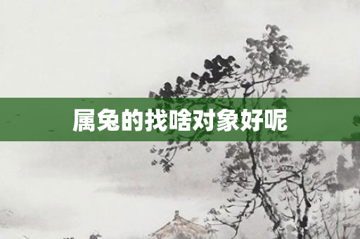 属兔的找啥对象好呢