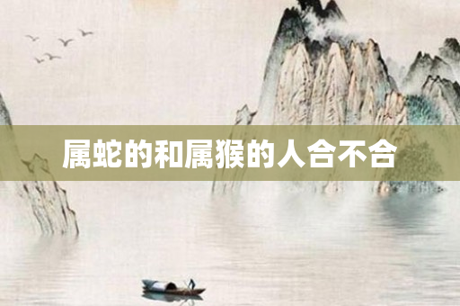 属蛇的和属猴的人合不合