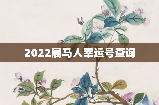 2022属马人幸运号查询
