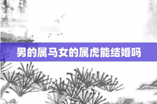 男的属马女的属虎能结婚吗