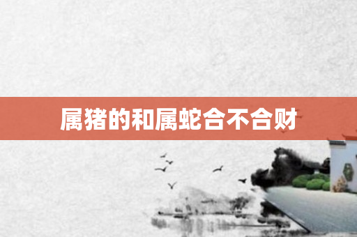 属猪的和属蛇合不合财