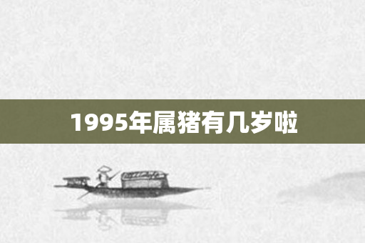 1995年属猪有几岁啦