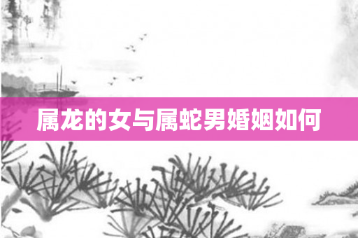 属龙的女与属蛇男婚姻如何