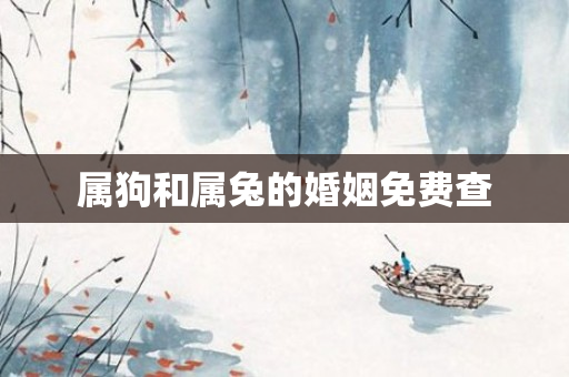 属狗和属兔的婚姻免费查