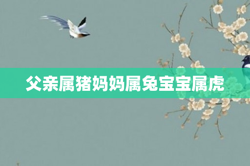 父亲属猪妈妈属兔宝宝属虎
