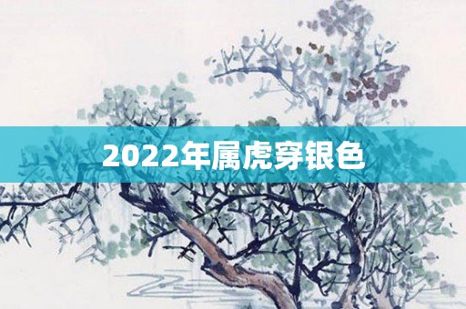 2022年属虎穿银色