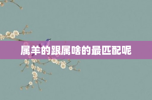 属羊的跟属啥的最匹配呢