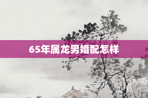 65年属龙男婚配怎样