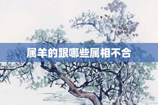 属羊的跟哪些属相不合