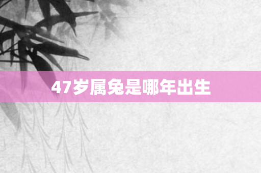 47岁属兔是哪年出生