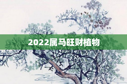 2022属马旺财植物