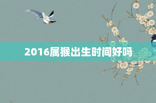 2016属猴出生时间好吗