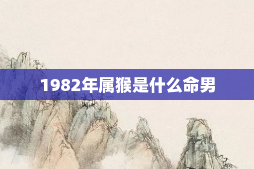 1982年属猴是什么命男