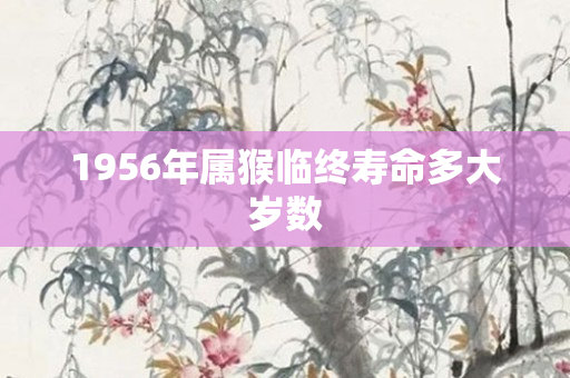 1956年属猴临终寿命多大岁数