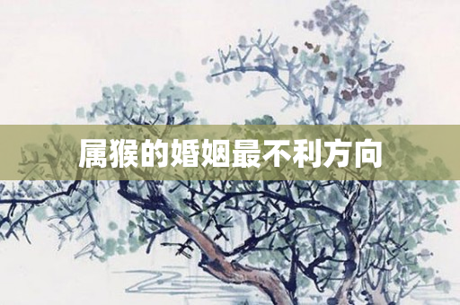 属猴的婚姻最不利方向