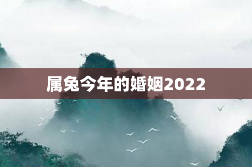 属兔今年的婚姻2022