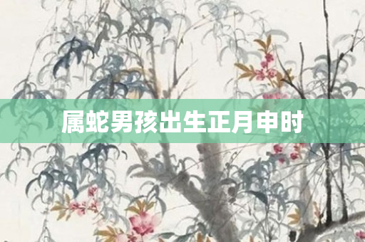属蛇男孩出生正月申时