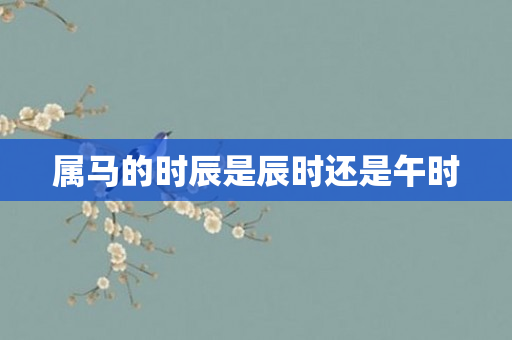 属马的时辰是辰时还是午时