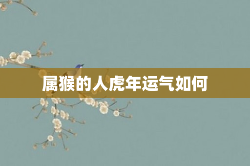 属猴的人虎年运气如何
