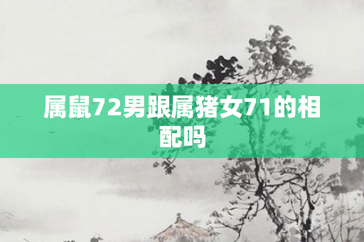 属鼠72男跟属猪女71的相配吗
