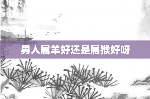 男人属羊好还是属猴好呀