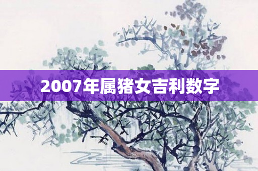 2007年属猪女吉利数字
