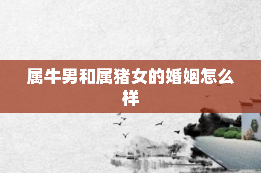 属牛男和属猪女的婚姻怎么样