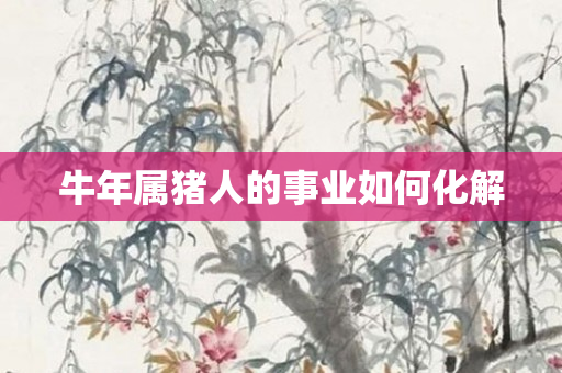 牛年属猪人的事业如何化解