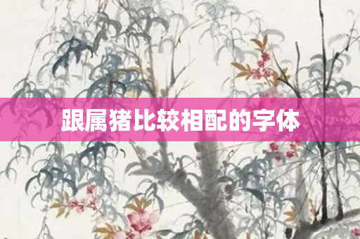 跟属猪比较相配的字体