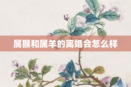 属猴和属羊的离婚会怎么样