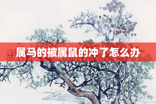 属马的被属鼠的冲了怎么办